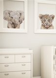 Safari Nursery Collection Set of 6