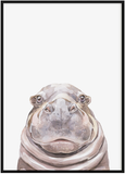 Hippo Safari Print