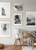 Wild Gallery Wall Set