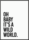 Oh Baby it's a Wild World