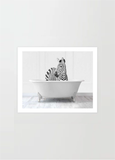 Zebra in Bath Tub Print
