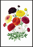 Bright Flower Bunch Print - Printy