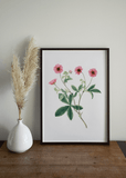 Bright Pink Flower Print - Printy