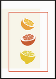 Citrus Slice Print - Printy