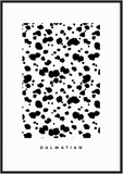 Dalmatian Print - Printy