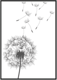 Monochrome Dandelion Print