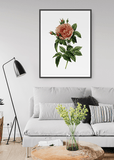 Orange Rose Print - Printy