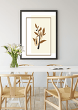 Papaya Tree Print - Printy