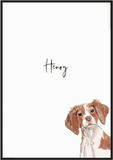 Peekaboo Personalised Brittany Print - Printy