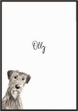 Peekaboo Personalised Irish Wolfhound Print - Printy