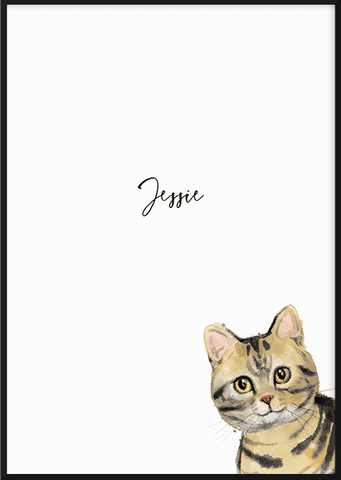Personalised American Shorthair Cat Print - Printy