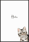 Personalised American Shorthair Cat Print - Printy