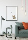 Personalised American Shorthair Cat Print - Printy