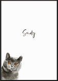 Personalised British Shorthair Cat Print - Printy