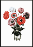 Poppy Bunch Flower Print - Printy