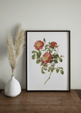 Red Flower Print - Printy