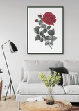 Red Rose Print - Printy