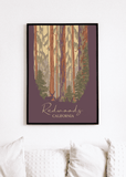 Redwoods National Park - Printy