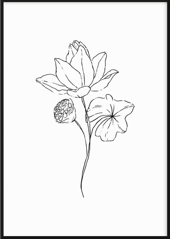 Black Sketchy Flower Set