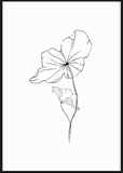Black Sketchy Flower One Poster