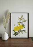 Yellow Flower Print - Printy