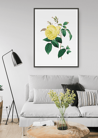 Yellow Rose Print - Printy