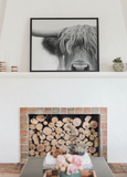 Highland Cow Print