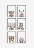 Safari Nursery Collection Set of 6