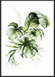 Green Watercolour Jungle Leaves Poster