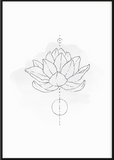 Grey Lotus Flower Poster