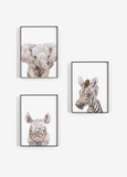 Safari Nursery Collection Set of 3