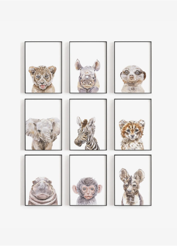 Safari Nursery Collection Set of 6